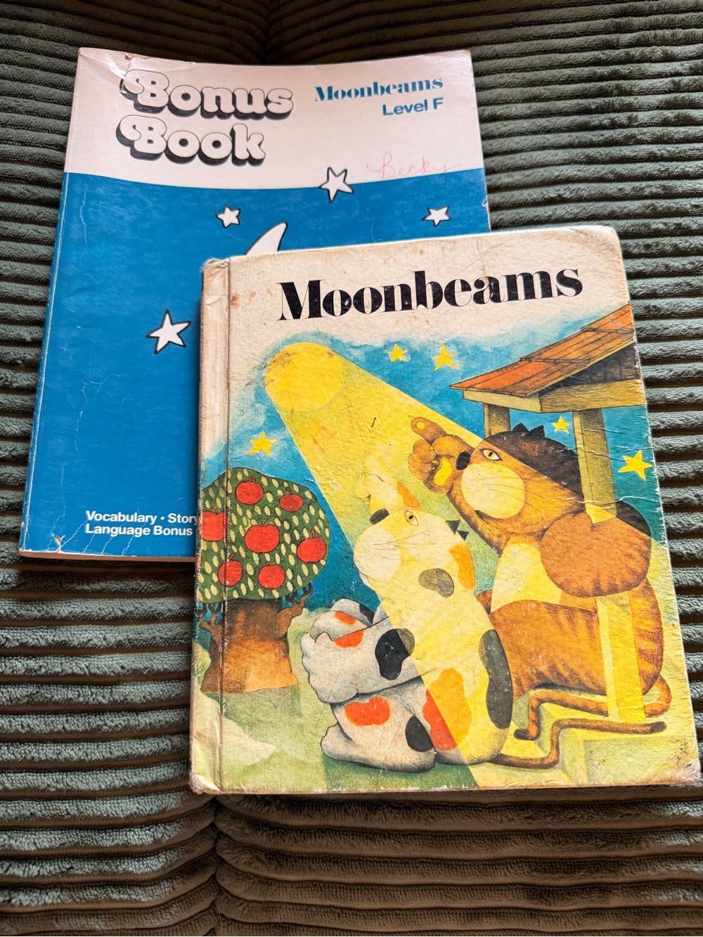 Moonbeams Phonics textBook and Workbook — Colorful Vintage